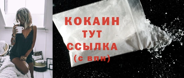 шишки Бронницы
