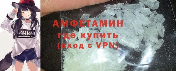 гидра Богородск