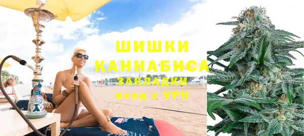 гидра Богородск