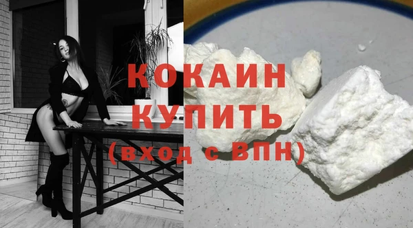 гидра Богородск
